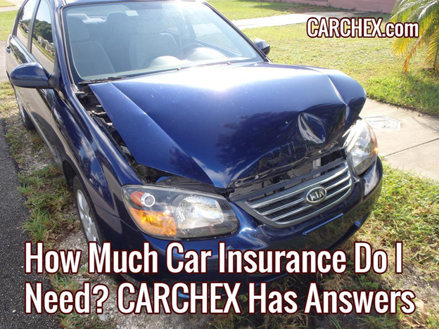 How Much Car Insurance Do I Need? CARCHEX Has Answers