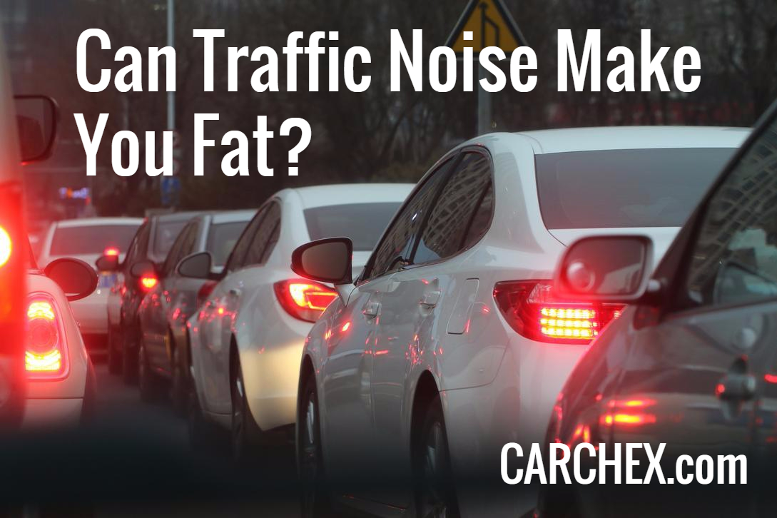 Can Traffic Noise Make You Fat?